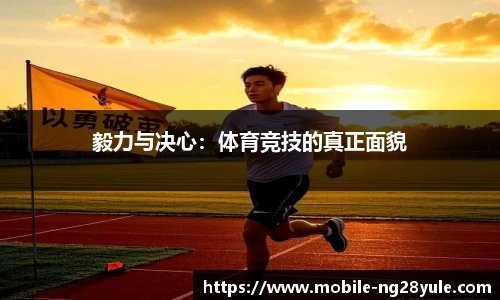 南宫28官网